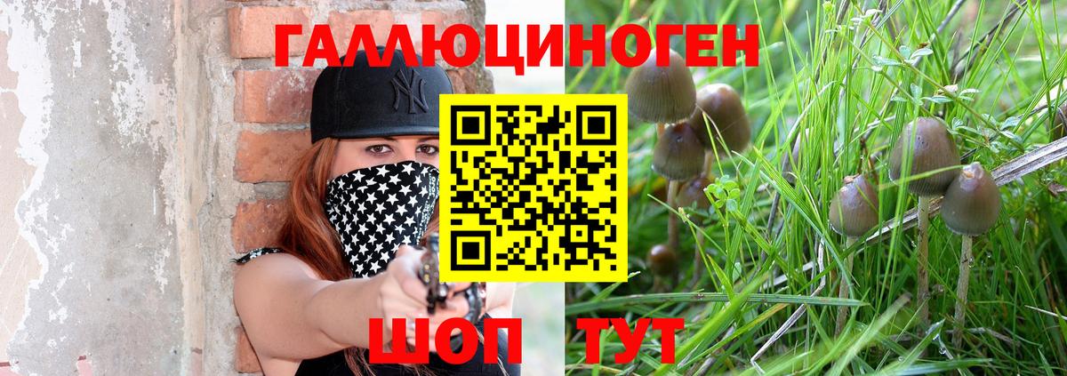 где купить   Вход с VPN  Ивантеевка  Псилоцибиновые грибы мухоморы 