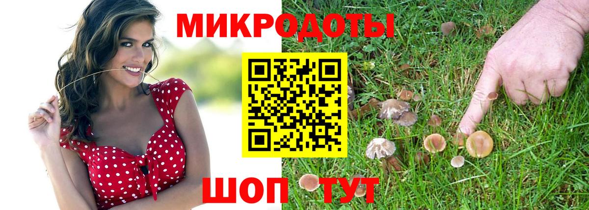 Галлюциногенные грибы ЛСД Ивантеевка